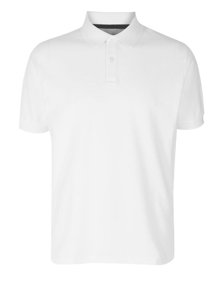 Beyaz Yakalı T-Shirt